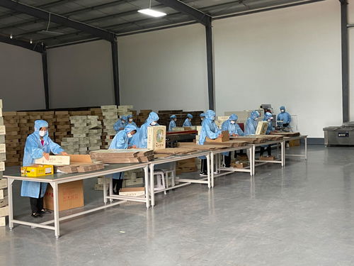 這是一道省委書記關(guān)注的必答題