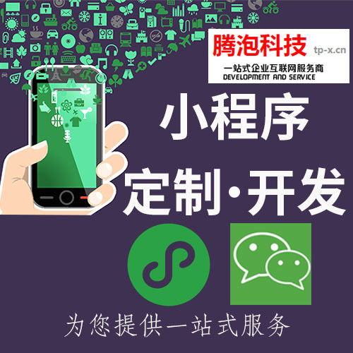 中山小程序開(kāi)發(fā)公司 小程序 推小程序開(kāi)發(fā)定制公司哪家好